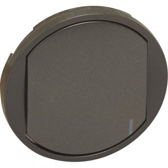 Клавиша управляющего устройства MyHome Play Zigbee 1-канального графит