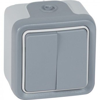Двухклавишный переключатель LEGRAND на 2 направления Plexo 10 AX 250 В серый