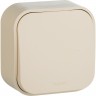 Выключатель LEGRAND Quteo без фиксации (кнопка) 6 A 250 В IP 20 Слоновая кость 782235