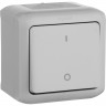 Выключатель LEGRAND Quteo двухполюсный 10 A 250 В IP 44 Серый 782339